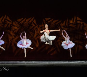 UA balet 68 360x320